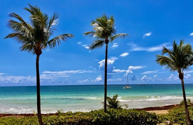 Newly remodeled. Breathtaking Luxury Beachfront Condo in Palmas Del Mar Resort