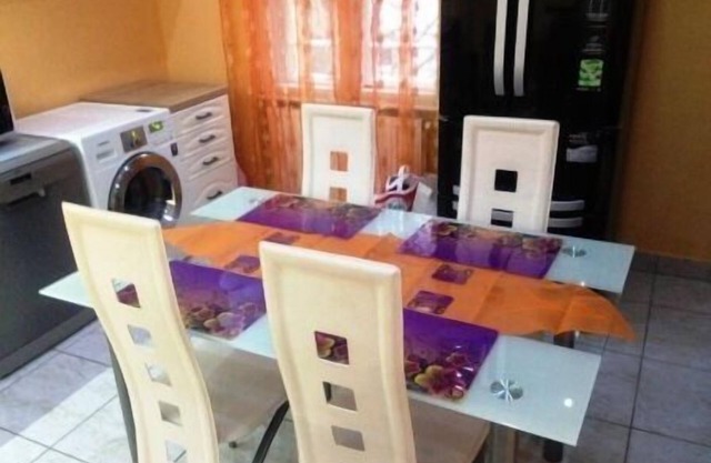 Newly renovated apartment with state-of-the-art furnishings for rent in the city center