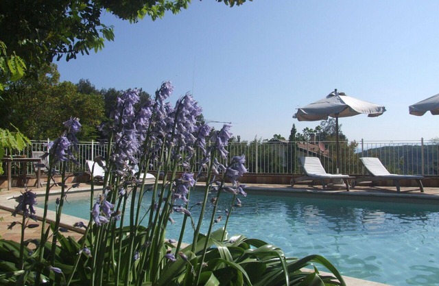 Nice apartment for 4 guests with WIFI, pool, TV and patio