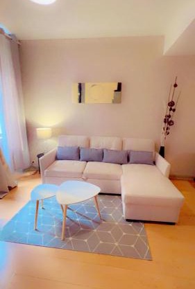 Nid Douillet Chalon Centre Appartement Sublime