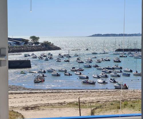 Nina studio 5 Places avec vue sur la baie au pied des commerces Classé 3 étoiles