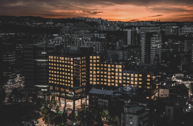 Nine Tree by Parnas Seoul Insadong