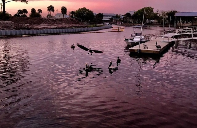 NO STAIRS. dock is steps away on main deep water canal in Keaton Beach !