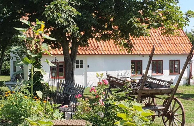 Norrekås Beach Studios