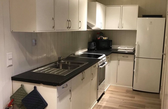 Notodden Sentrum Apartment No 1