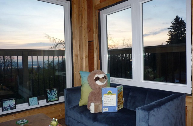Ocean/city views; near downtown Vancouver, skiing, cruise ships; treehouse; deck