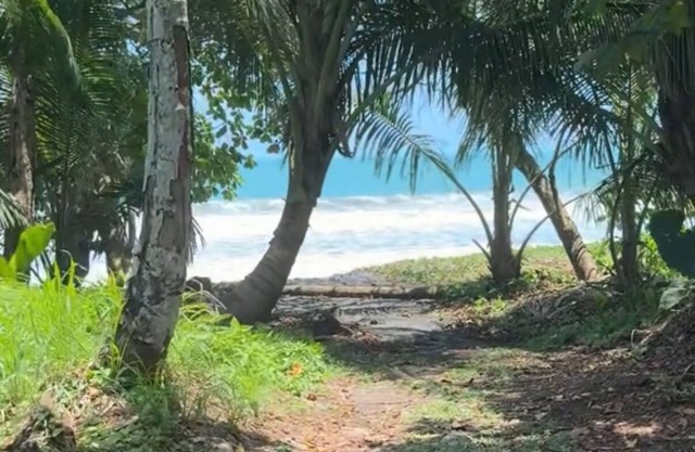 Oceanfront Beach House, Reconnect, RELAX, Modern Comfort, Wifi, A/C, Pool