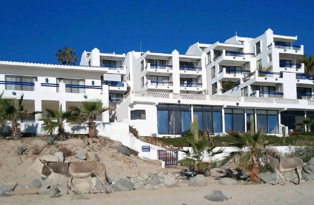 Oceanfront Condo Gem!