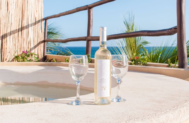 Oceanfront penthouse with private rooftop, pool and bbq area