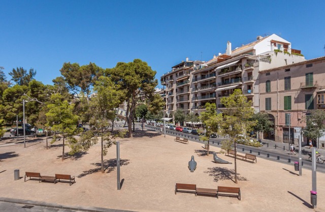 Old Town - Palma La Lonja