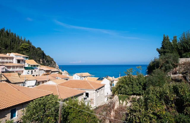 Olive Tree Hotel