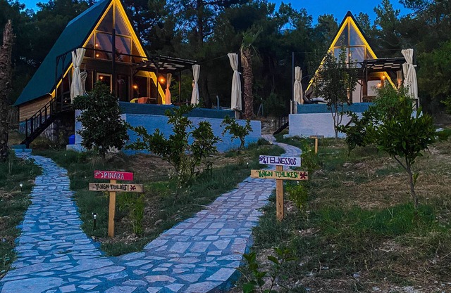 Olympos is located in a cedar forest, our natural healer - de-stress and unwind