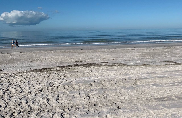 On the beach.pool. Ground floor cottage with NO hurricane damage.