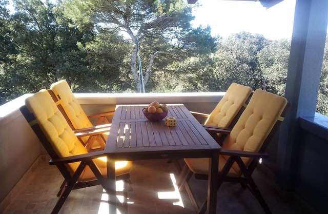 One bedroom apartment with terrace and sea view Silba (A-17603-b)