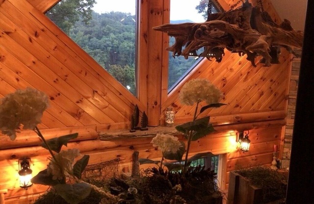 ONE OF A KIND LUXURY LAKESIDE TREE HOUSEPontoon, Ski, Hike, Rejuvenate