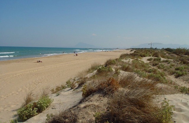 Only 20m to the dune beach, sea views, pool, betw. Oliva and Gandia seafront