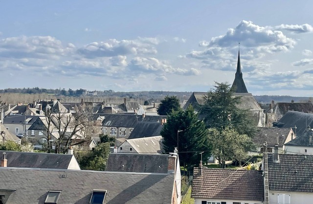 Opposite Château de Chaumont sur Loire