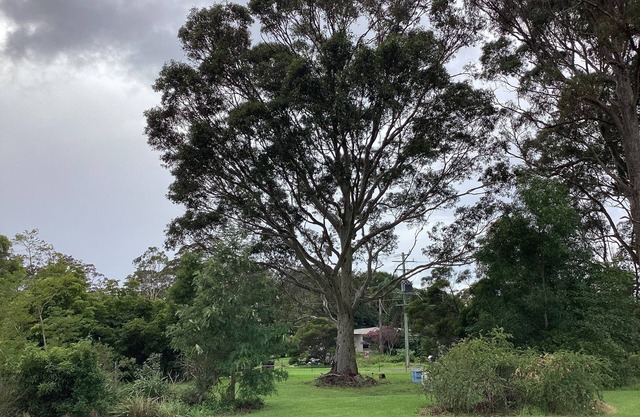 Our Narooma Honeyhouse just minutes away from beaches, boating and bike trails