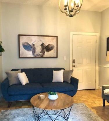 Overlooking Downtown Dunedin Two Bedroom apartment NO KIDS, NO PETS