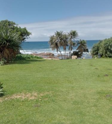 Palm beach