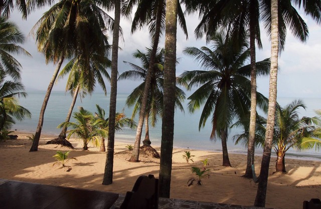 Palm Point Village