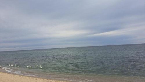 PalmBeachHousefrom69DaylyforPrsmin2PersPPartyP3rRoom