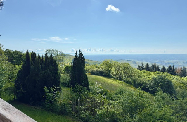 Panoramic Chalet