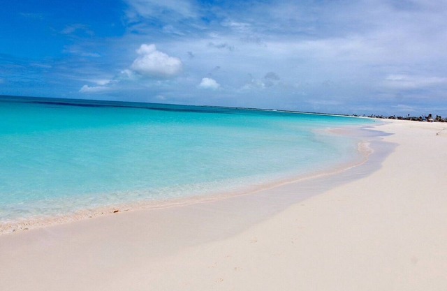 Paradiseview