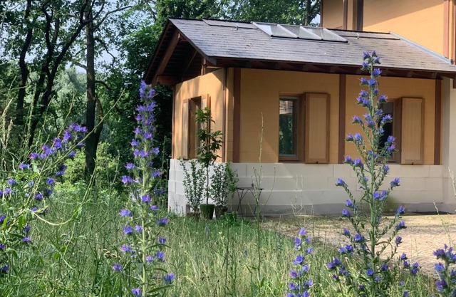 Parkchalet Atelier