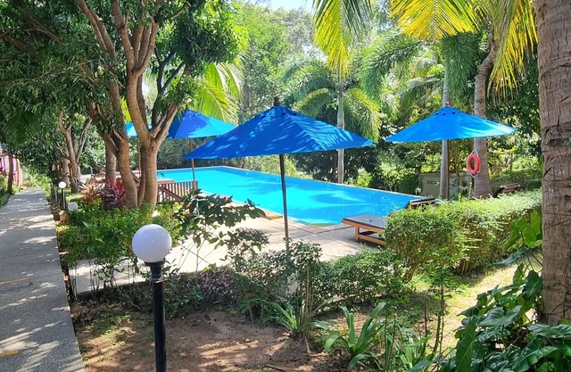 PawPaw Resort