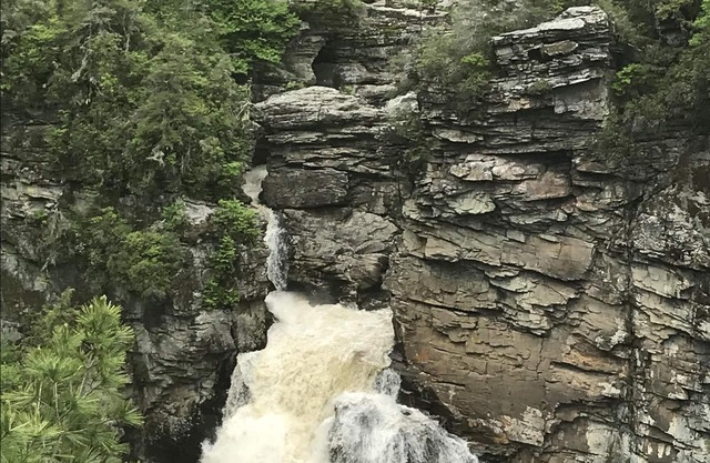 Peaceful Cottage on the Linville River Elev. approx. 3400 Close to 3 Ski Areas