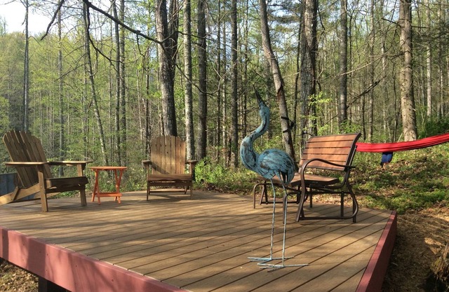 Peaceful mountain modern cottage near Mars Hill & Asheville, river view - access