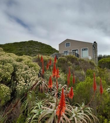 Peaceful Seaside Cottage, Betty's Bay Accommodation