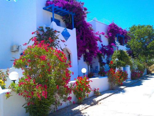 Pelagos Studios