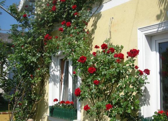 Pension Arkadenhof