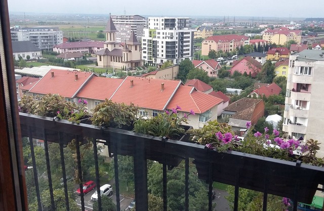 Penthouse Apartament Nufărul Oradea