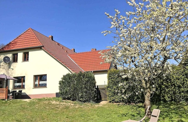 Pet-friendly Apartment Roggentin SEE 9072 - SEE 9072