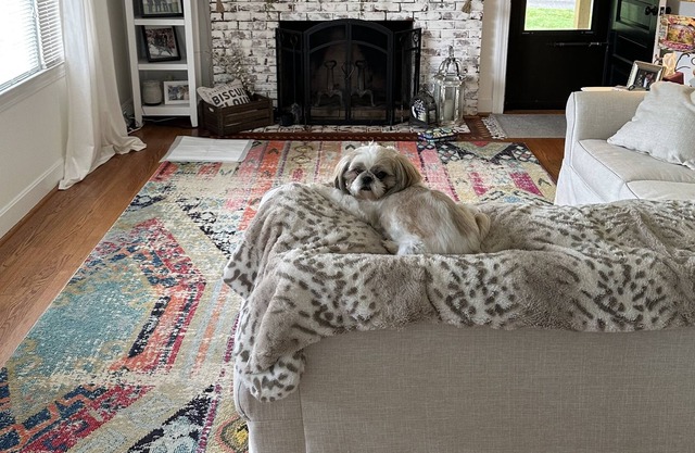 Pet friendly, Feel at home farmhouse with large deck. 15 minutes to downtown.