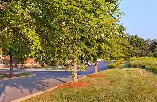 Pet Friendly! Lots of Greenways nearby to walk the dogs!