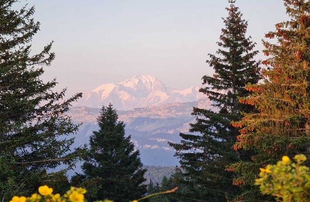 Petit Nid Douillet au Revard – Évasion Parfaite au Cœur des Montagnes