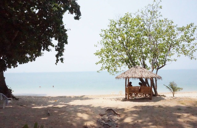Pine Bungalow