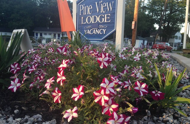 Pine View Lodge