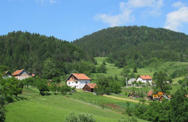 Planinski Mir