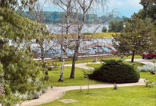 Plavi Dunav