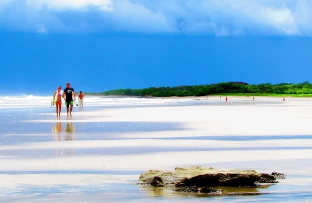 PLAYA AVELLANAS TREE HOUSE with Exclusive Beach Access
