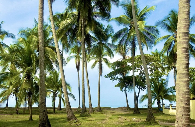 Playa Palo Seco, Parrita, Costa Rica. Tropical oceanfront three bedroom home.