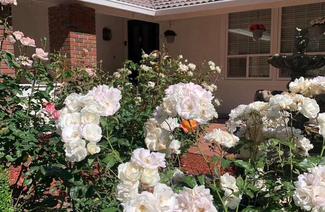 Pleasanton Gem: Entire House 4 Beds/Bonus RM! Convenient to BART & Shopping!