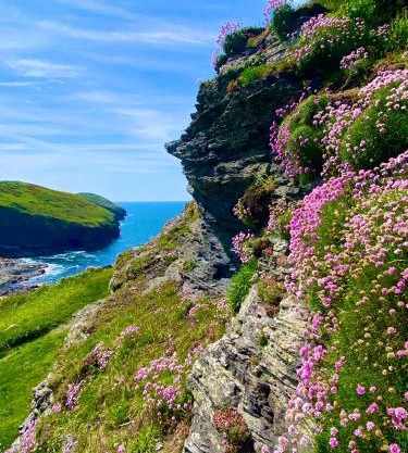 Polrunny Farm Blackberry Cottage - Cornwall bliss in sight of the sea