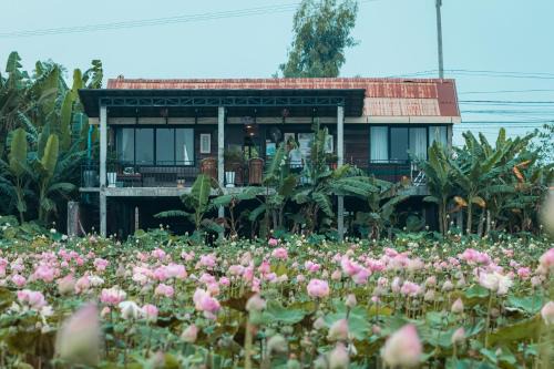 Pomelo Outpost Cambodia ដំណាក់ភ្នំក្រោម
