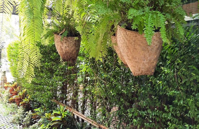 PomPom Home
